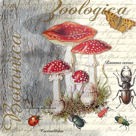 Χαρτοπετσέτα για Decoupage  Fly Agaric And Beetle