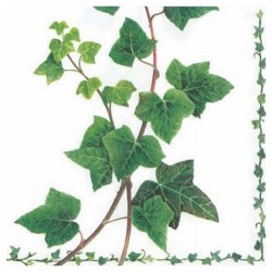 Χαρτοπετσέτα για Decoupage Ivy Tendril