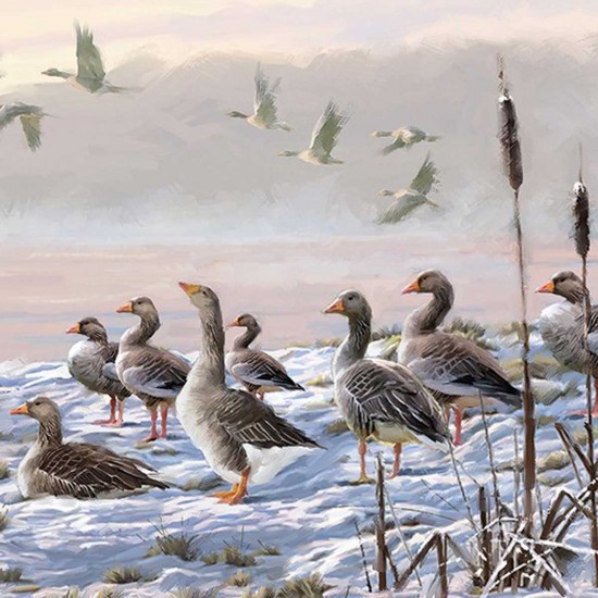 Χαρτοπετσέτα για Decoupage  Winter River Geese