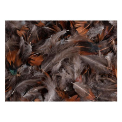 Φτερά διακοσμητικά φυσικά 10gr