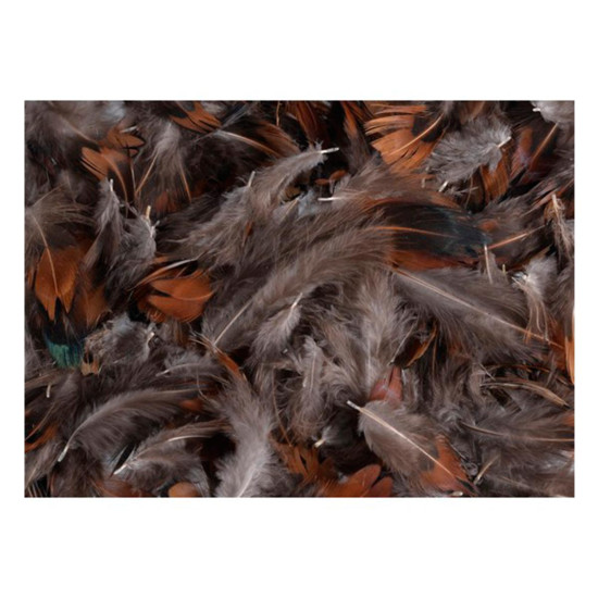 Φτερά διακοσμητικά φυσικά 10gr