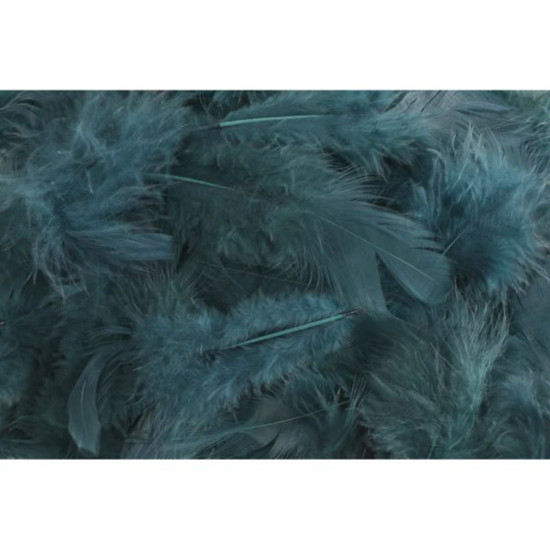 Φτερά πακέτο 10gr, τιρκουάζ